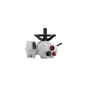 Actuator CH65210104 Rotork