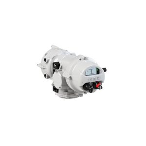 Actuator IQTM1000F14 Rotork