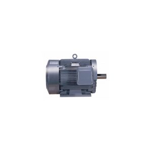Động cơ 3 pha J40HQ1S Higen