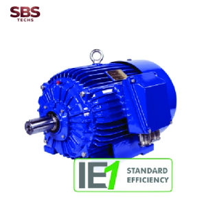 Động cơ ba pha với rotor lồng sóc IE1 1SIE Cantoni Vietnam