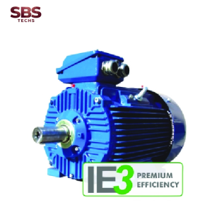 Động cơ ba pha với rotor lồng sóc IE3 SIE Cantoni Vietnam