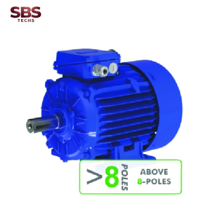 Động cơ ba pha với rotor lồng sóc TRÊN 8 CỰC Cantoni Vietnam