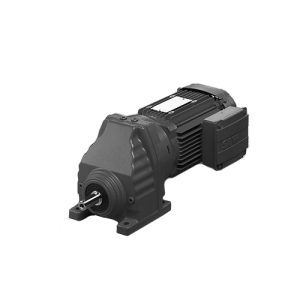 Động cơ bánh răng xoắn R147 R87 DRN112M4/TF SEW