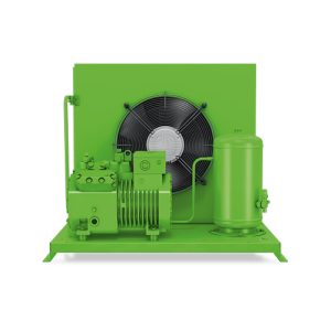 Máy nén CDU - Air Cooled (LH) - Ecoline LH265/4GE-20Y Bitzer